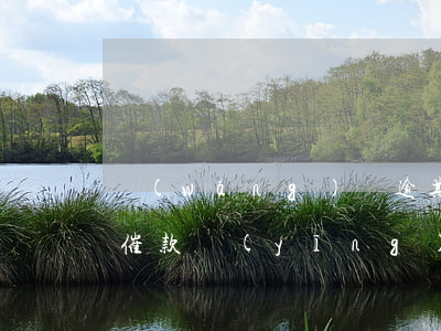 網(wǎng)貸逾期：律師來(lái)電催款，應(yīng)如何應(yīng)對(duì)？